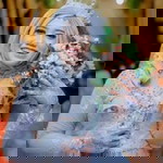 Tita Mei profile icon