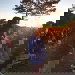 วะแหวน เลดี้สปอยด์ profile icon