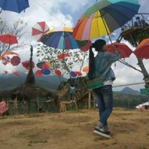 M Ayue Rohayati profile icon