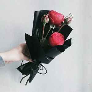 Selsilia Feb profile icon