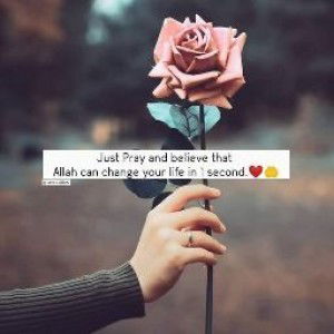 Sohaima Solaiman profile icon