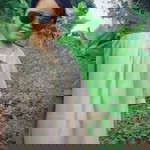 Anes Anesas profile icon