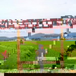 Cari ilmu yuk profile icon