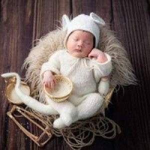 Heo Mộc profile icon