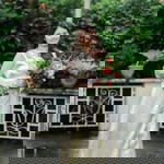 Rose Angela Esmabe profile icon