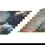 Shirley Fred II profile icon