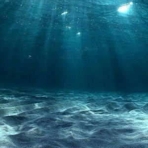 Elva Arbilla profile icon