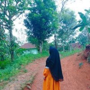 Risna R Setyawan profile icon