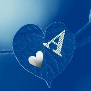 El_ Salsabila profile icon