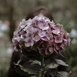 Andre Yanti profile icon