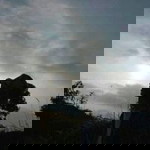 Lenah Oktavia profile icon