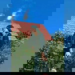 Widhyia Nenknonk profile icon