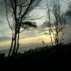 Reny Yogiarti profile icon