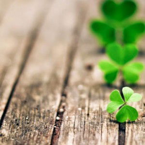 Miim Ksc profile icon