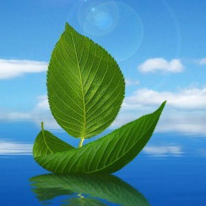 Amalia Ridwan profile icon