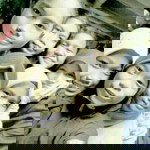 maulida el witri profile icon