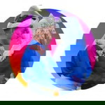 Nur Syfkh profile icon