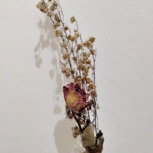 Sary Nur Handayani profile icon