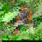 Thayakorn Rakklin Ak profile icon