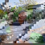 slothtle profile icon