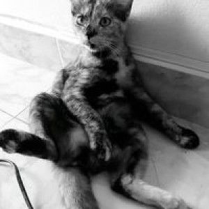 Mink Phichanan profile icon