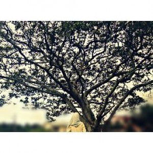 Ns Adrynaa profile icon