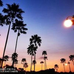 Reni Anggarwati profile icon