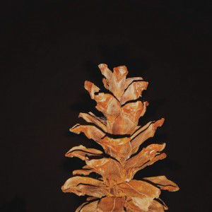 Desi Yuliani profile icon