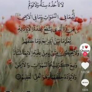 Nuriahn Nury profile icon