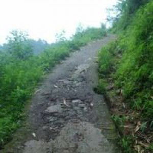 Siti Rohmawati profile icon