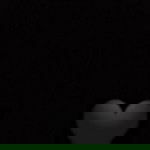 Lisnawati profile icon