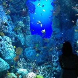 Teo Wei Ling profile icon