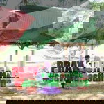 Anis Suraya profile icon