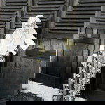 Ella Nur Aini profile icon