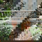 Luih Pujisw profile icon