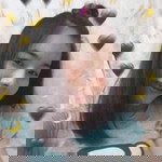 มัลลิ กา profile icon