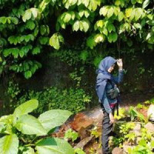 Regina Primananda profile icon