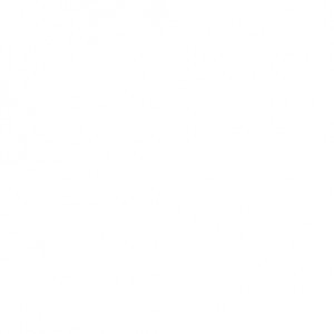 Selmi Riana profile icon