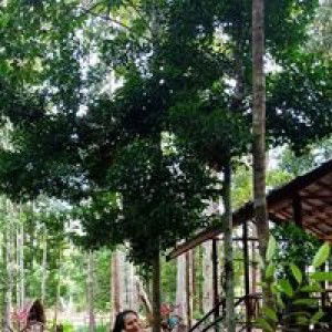 Fitria Wanda profile icon