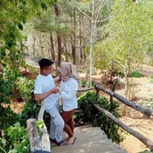 Serli Kartika profile icon