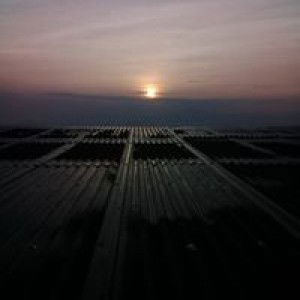 Iis Indah Lestari profile icon