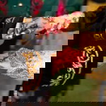 Fanny Astuty profile icon