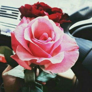 sulis setyati profile icon