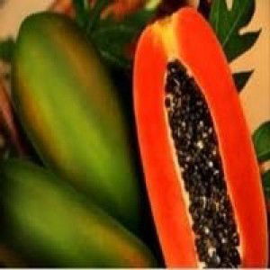 Fadilah Azzahro profile icon