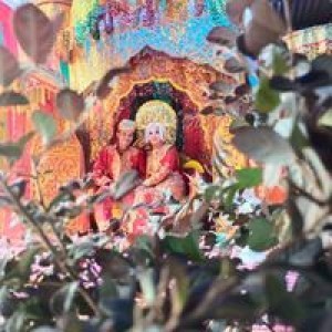 Riri Safni profile icon