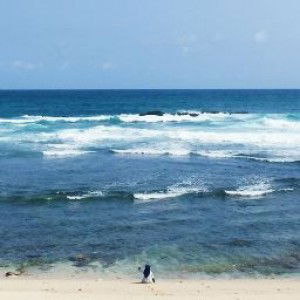 Novilia Islamiyati profile icon