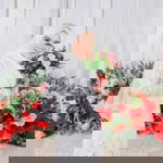 Nadia Jasin profile icon