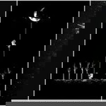 วิชญาพร แก่นมั่น profile icon