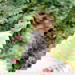 Edelyn D. Ubas profile icon