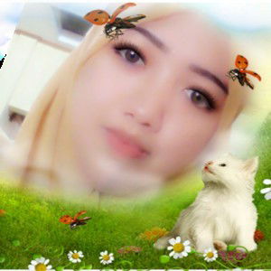 amelia nh profile icon